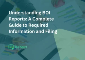 Understanding BOI reports